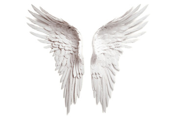 Angel Wing Transparent Isolated Feathers, AI