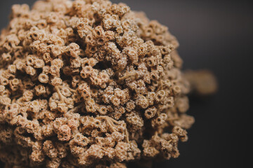 Close-up details of dry Edelweiss flower or Eontopodium alpinum and Leontopodium nivale  mountain flower isolated on black background