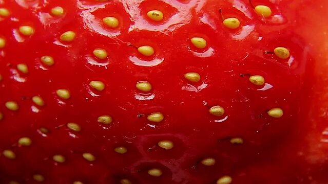 The strawberry rotates and increases. Fresh garden strawberries close-up detailed. Movement is approaching.