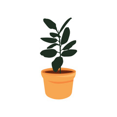 plant in flowerpot