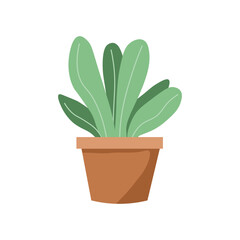 cactus in flowerpot