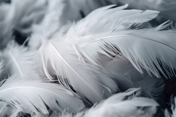  Close-up of white feathers background. Generative AI