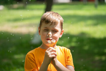 A blond boy of eight years blows on dandelions.