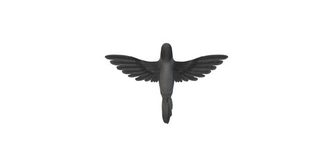 Humming Bird isolated on a Transparent Background