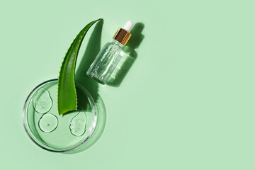 Cosmetic beauty concept with bottle serum, drops, aloe leaf and petri dish on green background