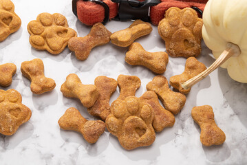 A pile of baked pumpkin dog treats on a marble background, with pumpkins and a burnt orange dog collar.