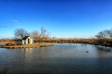 Fototapeta premium The Ebro Delta is a big wetland area and a unique natural region located in Spain.