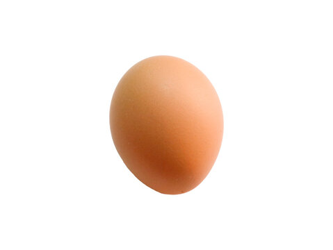 The image depicts one chicken eggs, without any background.