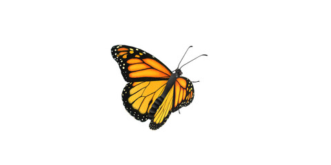 Fototapeta na wymiar Monarch Butterfly isolated on a Transparent Background