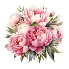 Peonies Flowers Clip art, Watercolor Clip Art, Watercolor Sublimation Design