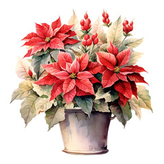 Winter Poinsettias in Vase Watercolor Clipart, Poinsettias Illustration, Christmas Decoration, Winter Flower Art, made with generative AI 