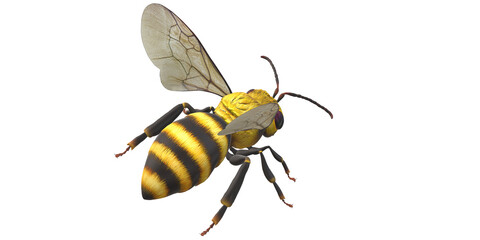Bee isolated on a Transparent Background