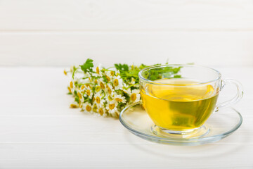Chamomile herbal tea in a cup on a white wooden table with a bouquet of chamomile. Close-up. Copy space. Useful herbal drinks, immunity tea. Natural healer concept.Place for text.