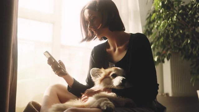 Pretty young woman using smartphone scrolling social media texting browsing online while hugging her cute fluffy corgi at home Warm shot of girl relaxing with pet dog while chatting at phone indoors