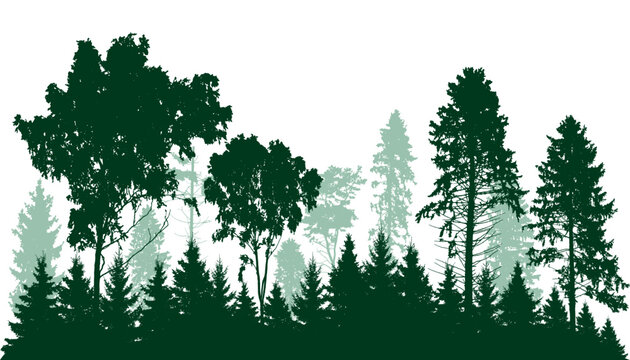 Beautiful landscape, silhouette of deciduous and coniferous trees, forest. Vector illustration