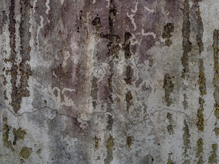 Schäden und Verschmutzungen an der Hauswand