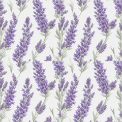 Fototapeta premium lavender flowers background
