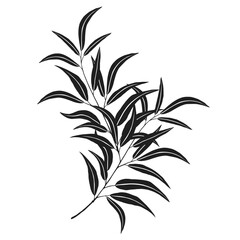 eucalyptus leaf stencil