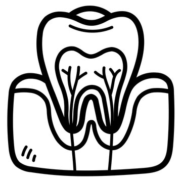 tooth root line icon style
