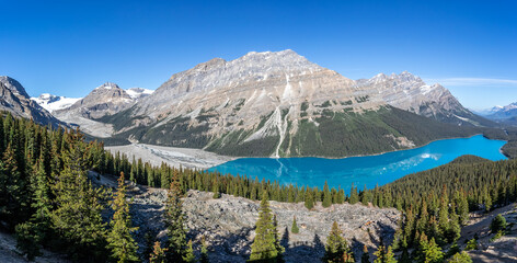 Panoramic landscape of Peyto Lake in Banff National Park, Alberta, Canada