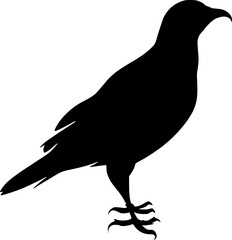 Crow Bird silhouette outline shadow 