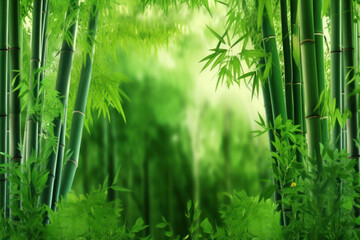 Obraz na płótnie Canvas Serene Green Bamboo Background