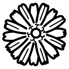 chicory line icon style