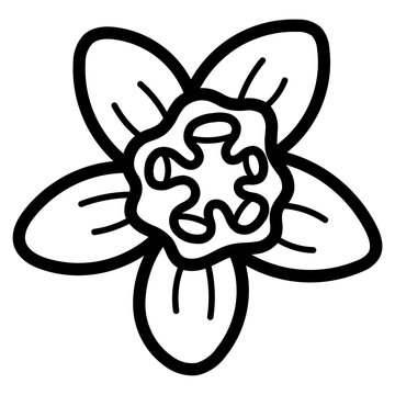 bryony line icon style