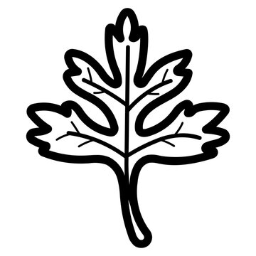 howthorn leaf line icon style