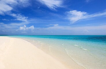 Fototapeta na wymiar Idyllic Beach with Palm Trees at the Maldives, Indian Ocean