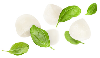mozzarella balls and basil leaves levitate on a white isolated background