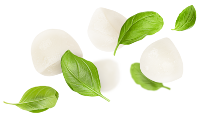mozzarella balls and basil leaves levitate on a white isolated background