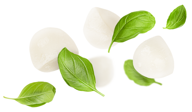 mozzarella balls and basil leaves levitate on a white isolated background