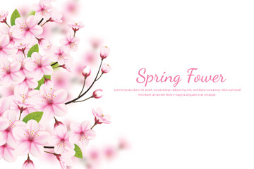 Obraz na płótnie Canvas Cherry blossom background with place for text. Vector illustration
