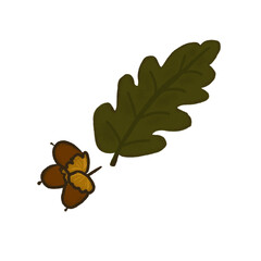 oak leaf and acorns
