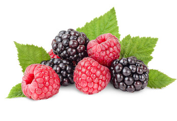 blackberries and raspberries with leaves on a white isolated background