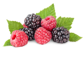 blackberries and raspberries with leaves on a white isolated background