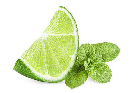 slice of lime and a sprig of mint, white isolated background