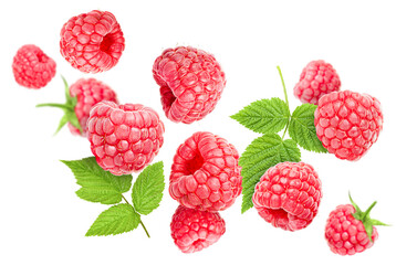 falling raspberry and leaves on isolated on white background