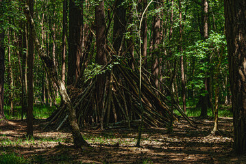  Kid's creation, child made wigwam in a forest. Esher forest. © XXX