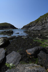 Fototapeta premium The Cornish Coast at Port Quin