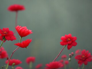 Red Flowers Background with Soft Style by Generative AI