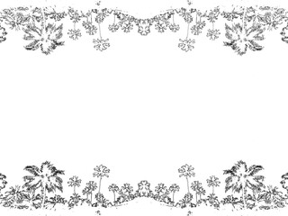 beautiful black silhouette of tropical palm trees