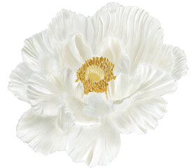 white flower peony watercolor © cealriya