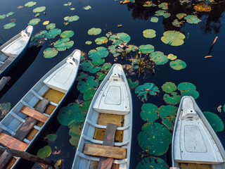 Escape the City Chaos: Experience Tranquility at Tan Lap Floating Village near Ho Chi Minh City, Vietnam