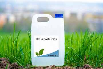 Brassinosteroids plant hormones that promote cell elongation and division, enhance stress tolerance, and regulate plant development. - obrazy, fototapety, plakaty