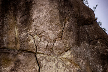 Felsen im Wald vor blauem Himmel