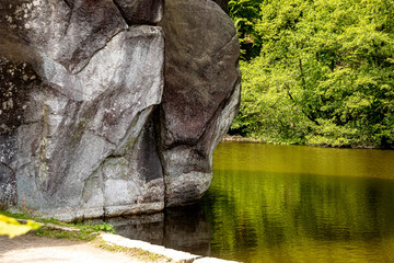 Felsen im Wald vor blauem Himmel
