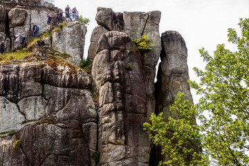 Felsen im Wald vor blauem Himmel
