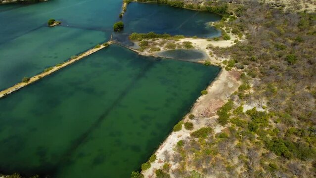 Sunny Salina lake on Curacao with Flamingos in Caribbean Sea coast with tropical water ocean landscape. Flying drone arial shot rocky and sandy beaches. Holiday travel exotic destination Aruba Bonaire